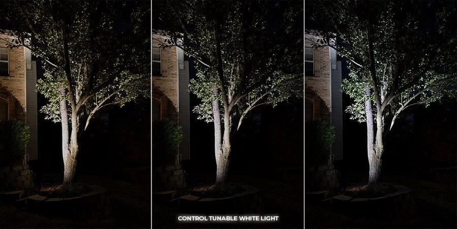 MR16 MiBoxer RGB+Tunable White LED Light Bulb - 4W - 35W Equivalent - 280 Lumens - Light Only - Image 5