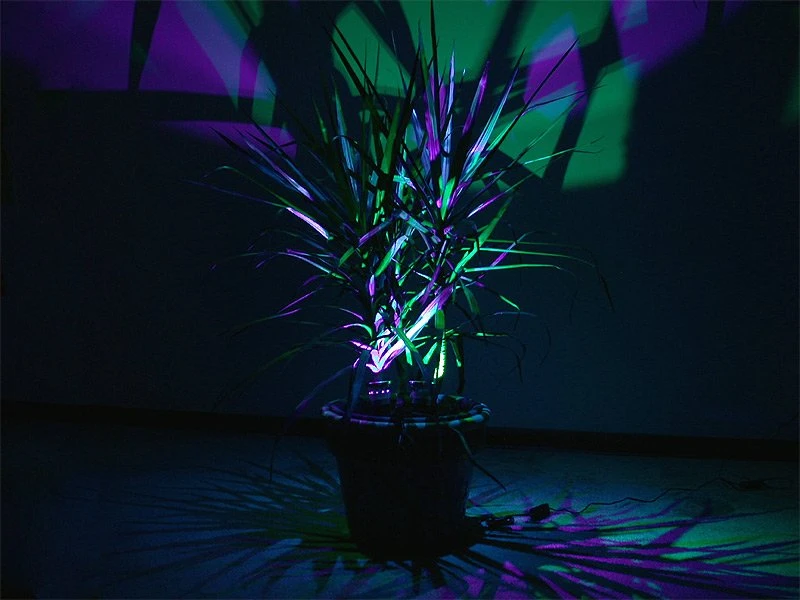 Color-Changing MR16 LED Bulb With Remote - 10 Watt Equivalent - 12V AC/DC - RGB LED Spotlight Bulb - 80 Lumens - 3 Watt RGB - Image 12